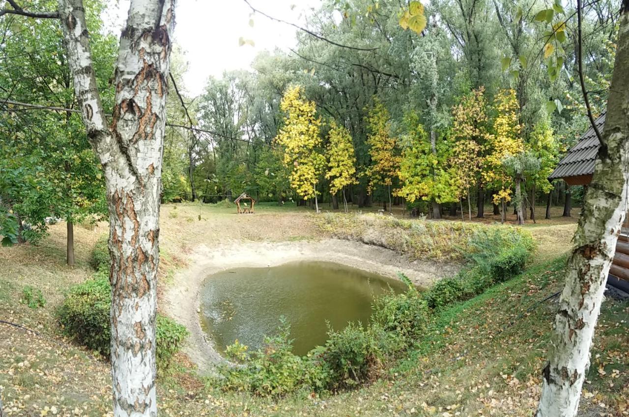 Zolotoy Bereg Hotel Чернигов Экстерьер фото